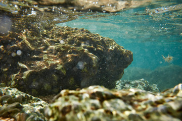 underwater rock background