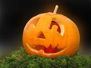 Obraz premium Pumpkin on the black background, isolated by using clipping path