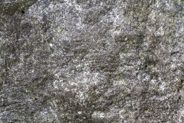Stone surface with moss texture weather beaten