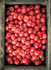 Pink peppercorns