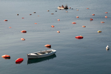 Farm for growing mussels with boats and colorful buoys