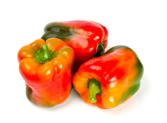 paprika isolated on white