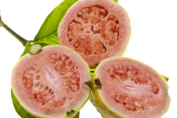 Pink Guava Fruit