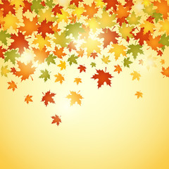 autumn background with leaves vector illustration