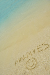 tropical beach landscape