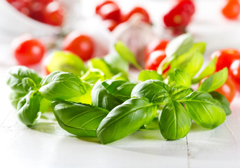 fresh green basil with cherry tomatoes
