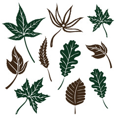 Herbstblätter Set - Ahorn, Eiche, Kastanie, Laub Vektor Design