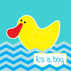 Baby boy shower card with funny duck.