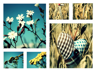 Retro- Collage Getreide
