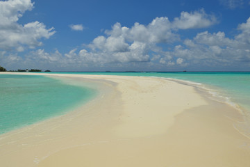 tropical beach landscape