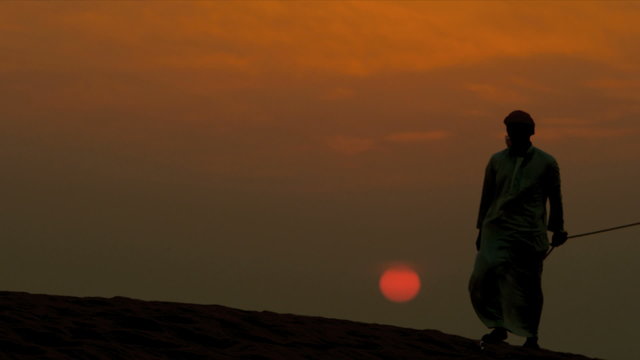 Male Arab Leading Camels Sand Dunes Silhouette 
