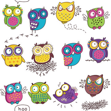 Seamless pattern with color owl in white background