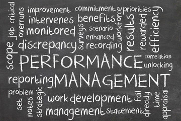 performance management