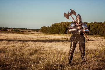 Medieval knight