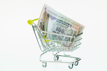 Indian rupees in shopping cart