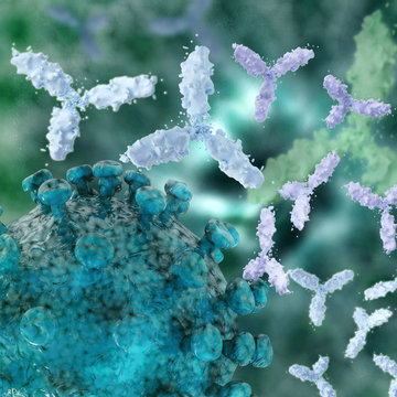 Virus mit Antikörper - 3d Render