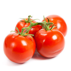 Closeup of tomatoes on the vine isolated on white. Tomato branch