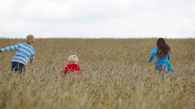 Kids in the fields