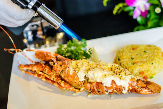Lobster krill and fire rice