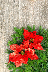 christmas tree branch with poinsettiaon wooden background