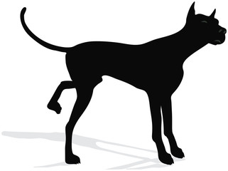 stock vector of dog silhouette standing