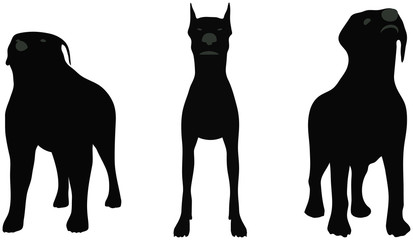 stock vector of dogs silhouette standing