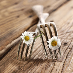 fork