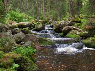 Bachlauf