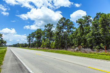 Fototapeta na wymiar Pusta autostrada w Ameryce z drzew i błękitne niebo