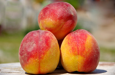 Fototapeta na wymiar Three peaches