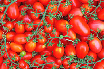 Red ripe tomatoes