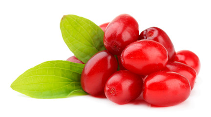 Fresh cornel berries isolated on white