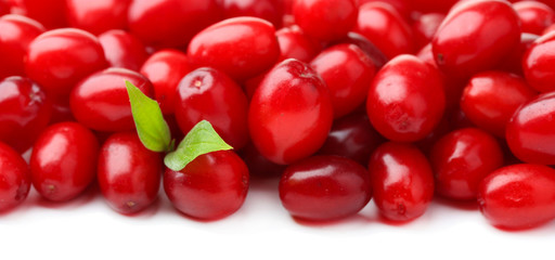 Fresh cornel berries isolated on white