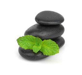 Fresh mint on the black stones with drops