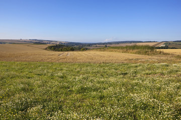 Fototapeta na wymiar scenic yorkshire wolds