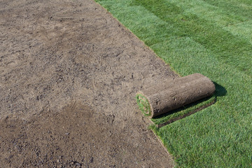 rolled sod