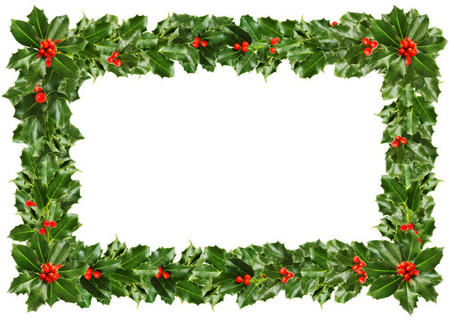 Holly leaves - Christmas frame, background
