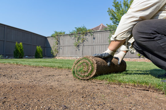 installing new lawn