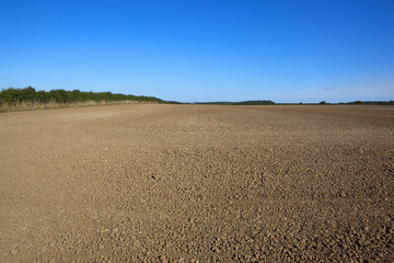 cultivated arable field