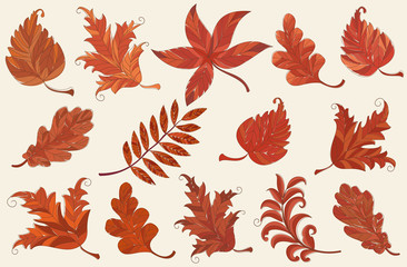 Set of brown autumn leaves