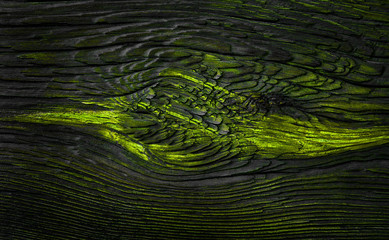 Wood texture,abstract green background