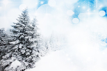 Christmas background with snowy firs