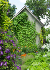 Little house in a flowering garden