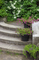Fototapeta na wymiar Flower pots decorating stone steps in a garden