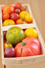 Alte Tomaten Sorten
