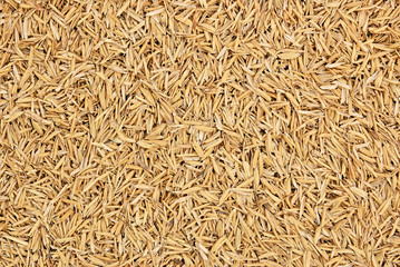 Detail of rice husks texture