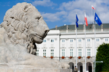 Sculpture of a lion near the Royal Palace in Warsaw, Poland.