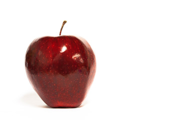 Fototapeta na wymiar Red ripe apple with white back ground