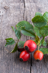 Rosehip berries on a old textured wooden background