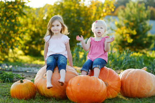 Two little sisters sitting on huge pumpkins